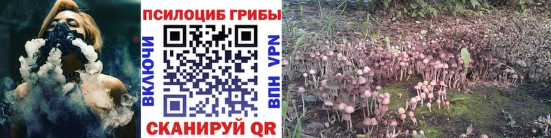Галлюциногенные грибы GOLDEN TEACHER  ссылка на мегу вход  Магас 